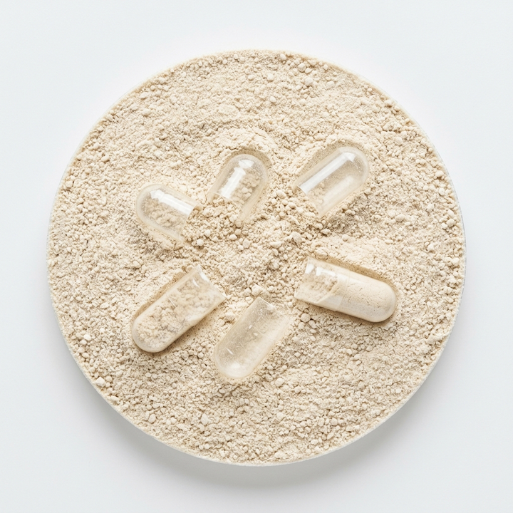 3 probióticos Bacillus