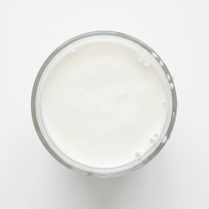 Lactobacillus reuteri