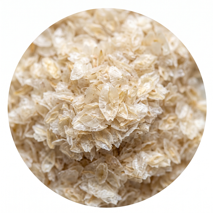 Psyllium