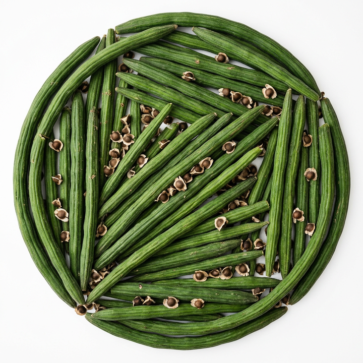 Antioxidantes de la planta