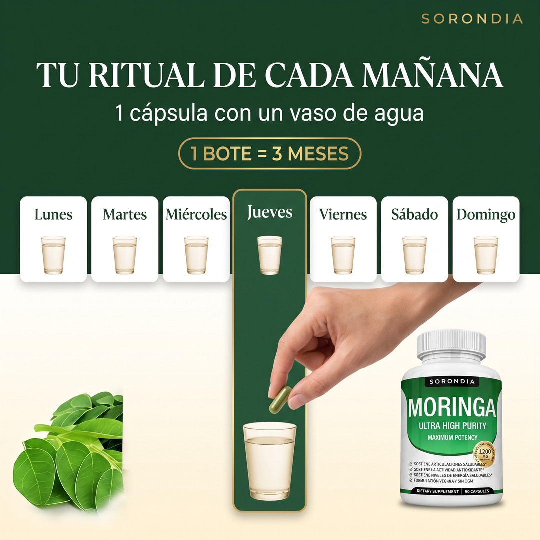 Moringa Pura 1200 mg Sorondia hoja de moringa 90 cápsulas
