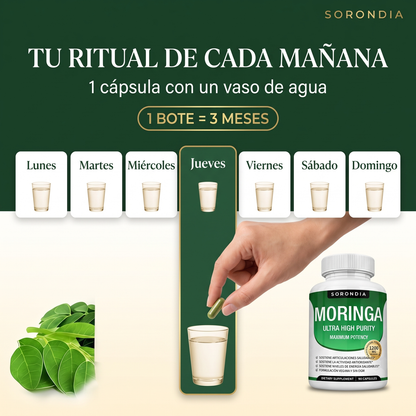 Moringa Pura 1200 mg Sorondia hoja de moringa 90 cápsulas