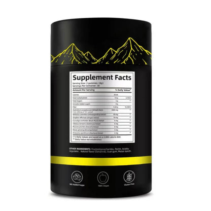 Gomitas de Shilajit 100% Puro del Himalaya (Pack de 60 Gomitas)